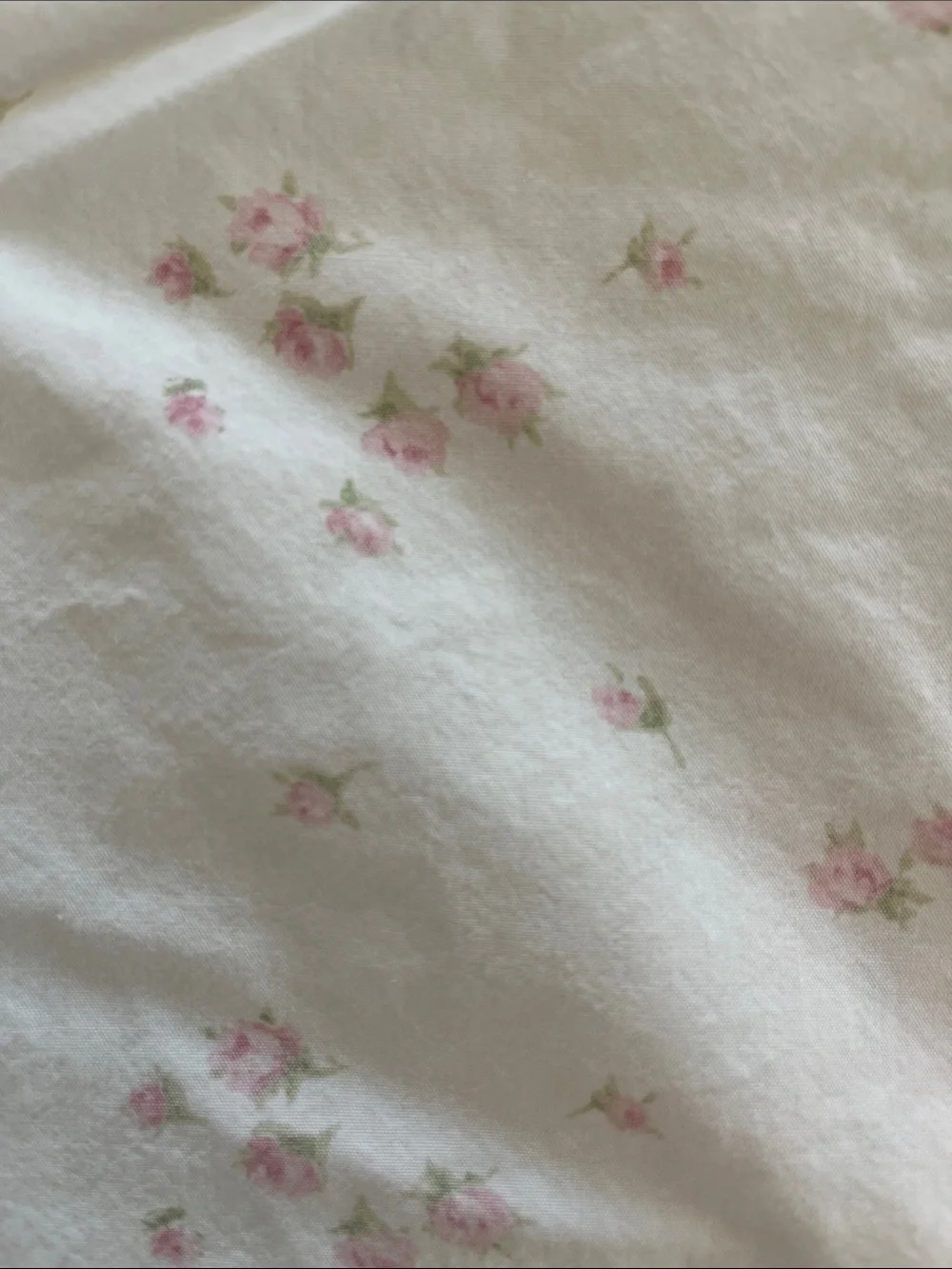 Simply Shabby Chic romantic rose